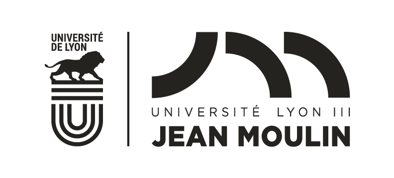 Logo Université Lyon 3